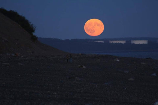 Tonight's Buck Moon: A Super-Low Summer Spectacle